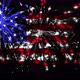 Vote Flag Usa - VideoHive Item for Sale