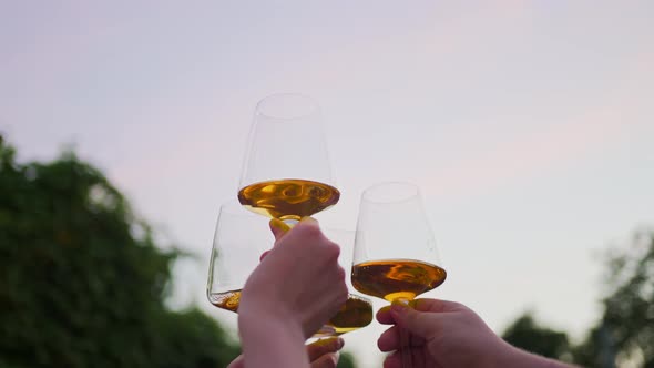 A Group of People Cheers Glasses of Wine at Sunset