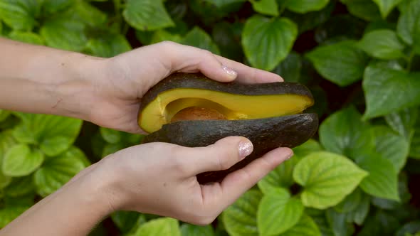 Woman Hands Hold and Open Two Cut Halves of Fresh Green Avocado on Green Grass