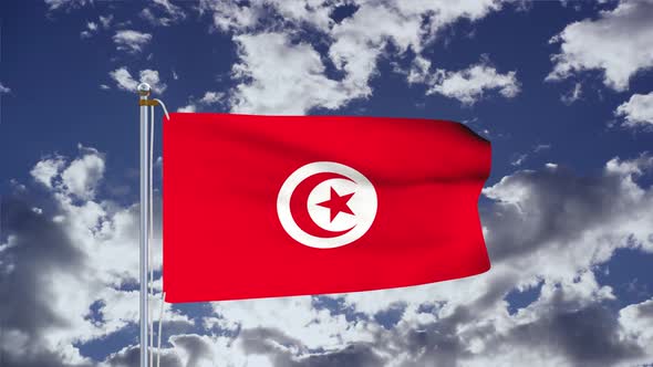 Tunisia Flag Waving 4k