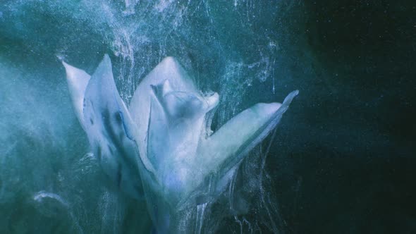 Flower Smoke Motion Vapor alt