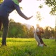 Smart dog raise and touch man hand by front paws, sunny park at morning - VideoHive Item for Sale
