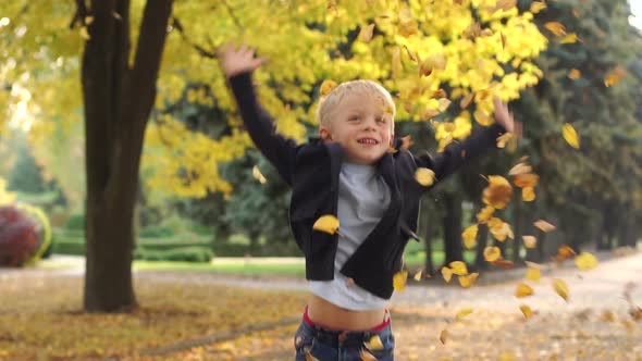 Happy Little Boy Throws Yellow Leaves in Autumn Park. Slow Motion.