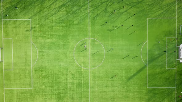 Team training soccer football session on the green pitch of a football stadium, kicking and passing