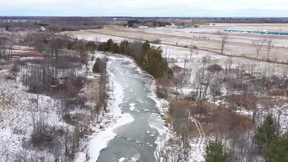 bald eagle juvenile flying by camera super slow motion