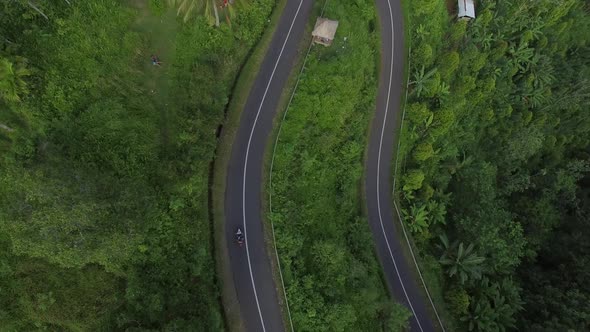 Aerial view of a road going between dense forest, Bali island, Indonesia.
