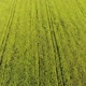 Beautiful green field close up. Aerial video. Landscape of mountains and fields. - VideoHive Item for Sale