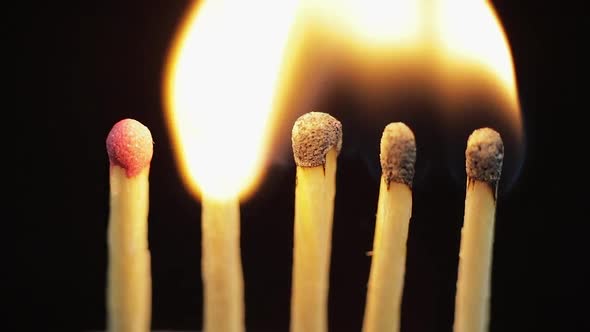 Matches Light Up One By Another in Series on Black Background