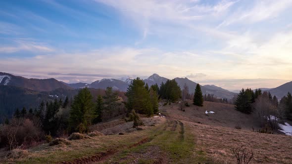 Forest Path on a Meadow at the Edge of a Forest in a Mountain Spring Landscape Slow Motion of Clouds