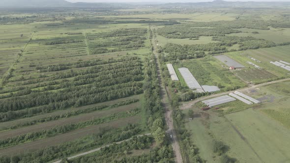 Aerial drone view flight over different agricultural fields sown in Samegrelo, Georgia