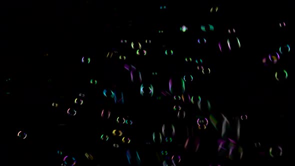 Soap Bubbles Fly and Fade in Different Colors. Black Background