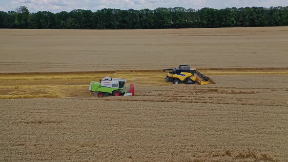 Grain harvesting combine. Wheat harvester working in wheat field