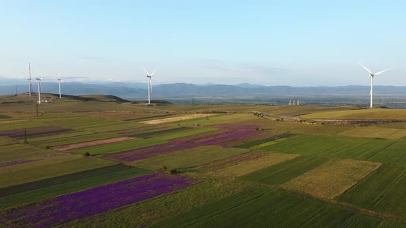 Wind Farm Aerial View