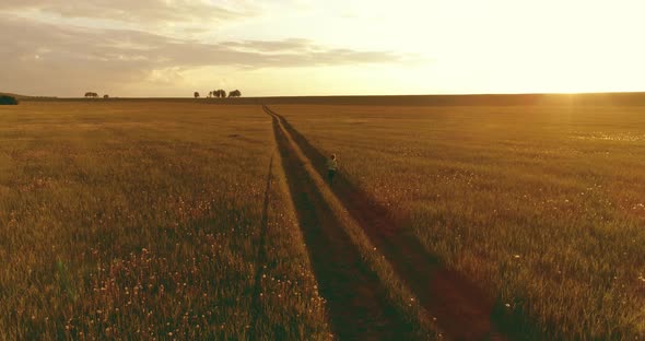 Sporty Child Runs Through a Green Wheat Field. Evening Sport Training Exercises at Rural Meadow. A