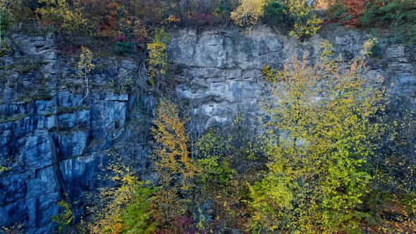 Rocks and tree trip, Morning in autumn forest.