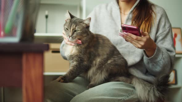 Woman Petting Cat and Using Smartphone