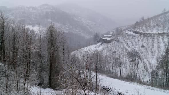 Snow Storm on Mountains