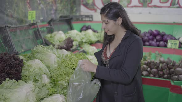 Young attractive woman shopping at the greengrocer choosing lettuce