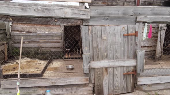 Aerial View of a Shelter for Stray Dogs.