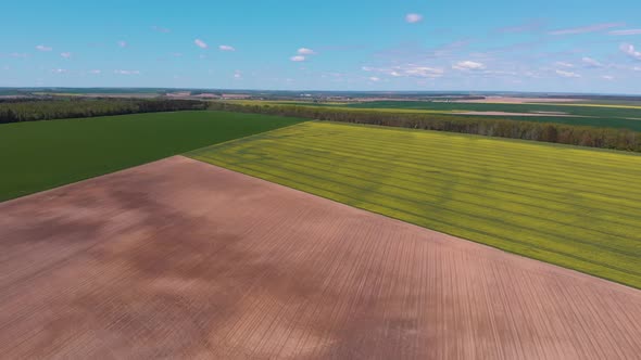 Three Different Views of Field on Farmland Surrounded By Trees Aerial View