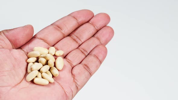 Hand Holds White Cannellini Beans