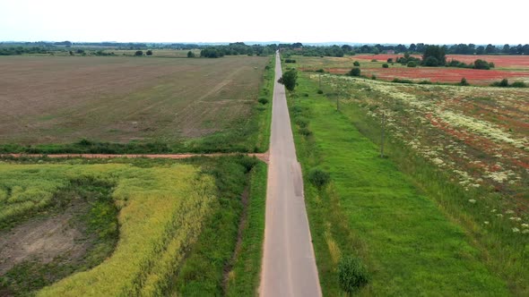 Asphalt Road Through Green Summer Field