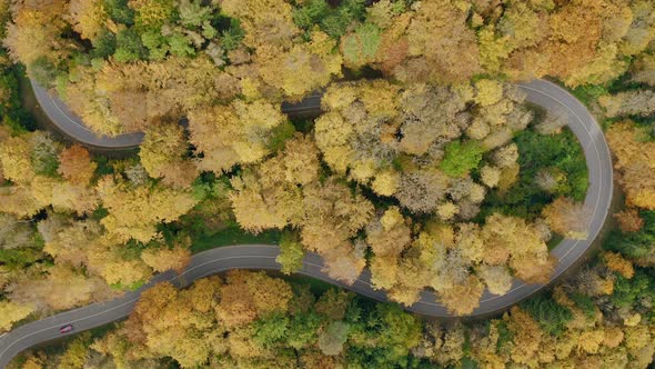 Timelapse of driving cars through a very tight serpentine curve under fall colored trees, wonderful