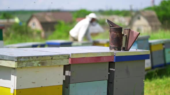 Bee smoker on a hive. Bees flying over the beehives. 