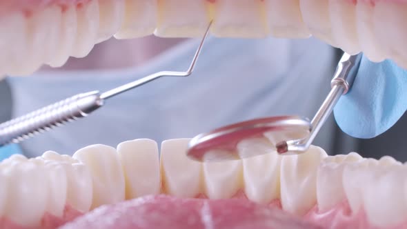 Dentist Inspects Patient's Teeth with Probe and Mirror