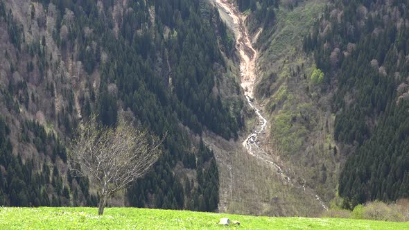 Old Avalanche Has Fallen From Snowy Mountain Peak to Valley in Forest and Green Meadow