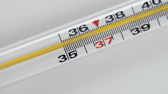 Glass Mercurial Thermometer On A White Background