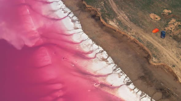 Girl Walks on a Pink Lake