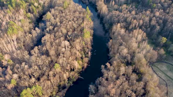 Aerial View of the River Between the Pines