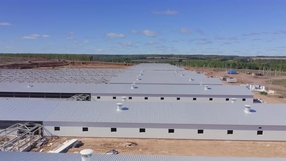 From a Birds Eye View on the Pig Farm the Production Facilities of the Livestock Breeding Complex