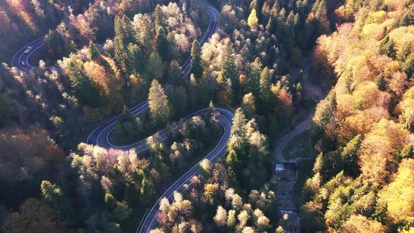 Road Through Mountain Forest