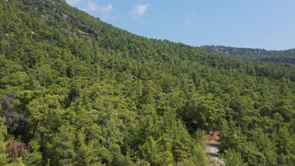 Aerial View Rocky Mountain Forest