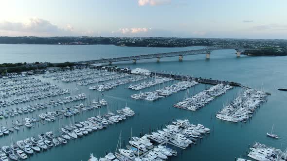 Viaduct Harbour, Auckland New Zealand