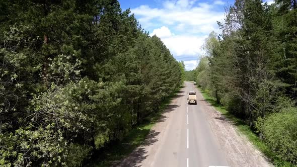 White Cars Drive Along Gray Road Between Dense Green Forests