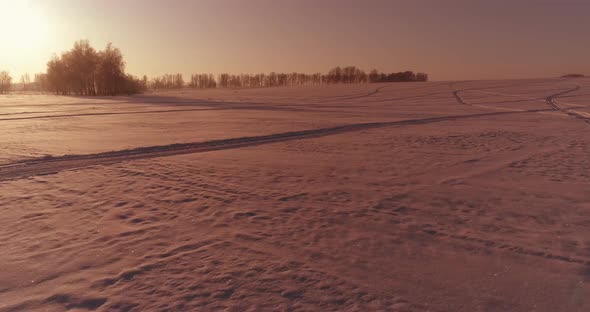 Aerial Drone View of Cold Winter Landscape with Arctic Field Trees Covered with Frost Snow and