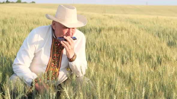 A Lonely Grandfather Sits in a Wheat Field and Plays French Harps