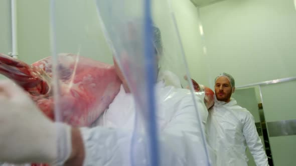 Team of butchers carrying meat