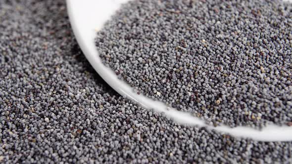 Dry poppy seeds in white plate. Macro. Selective focus