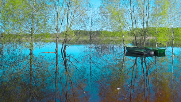 Boats Near Trees That Standing In Water During Spring Flood Floodwaters