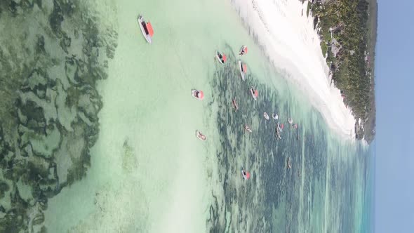 Vertical Video of the Ocean Near the Coast of Zanzibar Tanzania Aerial View