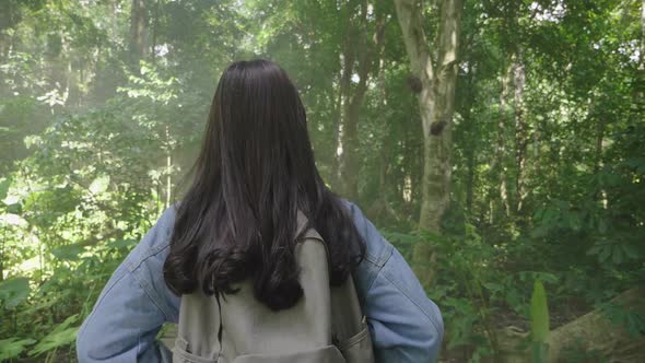 Girl Walking On Wooden Path In Forest