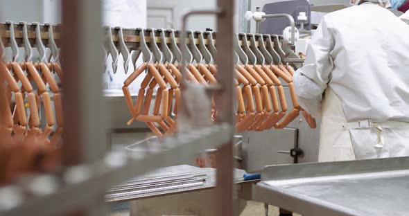 Food Industry, Meat Production, Woman Workers in Protective Uniforms at Work, the Production Process