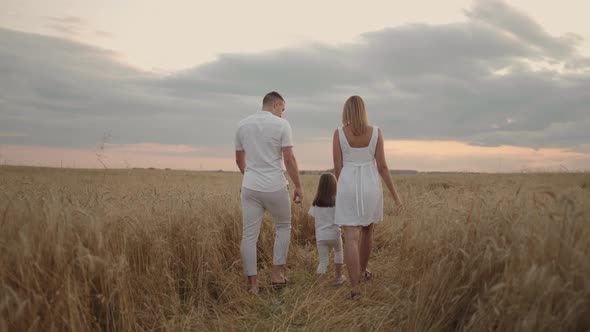 Happy Smiling Family Holding Hands Walking Through Golden Field at Sunset