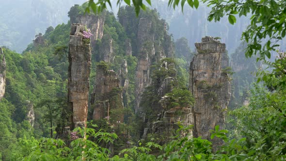 Great and Peaceful Vertical Cliffs in Zhangjiajie National Forest Park Where Avatar Movie Was Shot