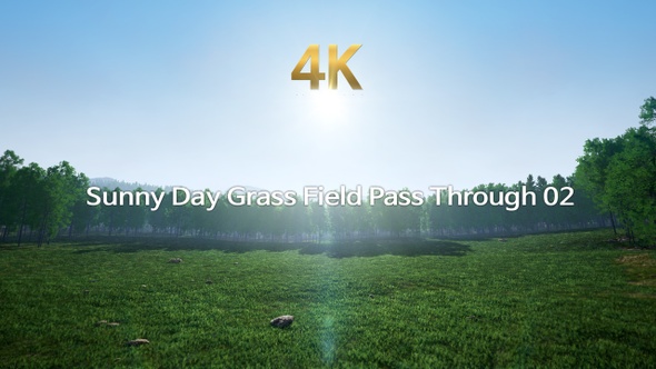 Sunny Day Grass Field Pass Through 4K 02