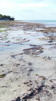 Vertical Video of Low Tide in the Ocean Near the Coast of Zanzibar Tanzania